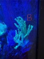 IMG_1880.jpeg
