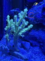 IMG_1881.jpeg