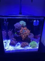 IMG_8593.jpeg