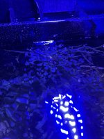 7DE60F49-9199-4DB1-BFFE-36247B4CCFCD.jpeg