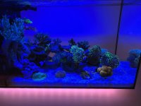 IMG_8488.jpeg