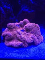 IMG_8907.jpeg