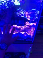 IMG_8892.jpeg