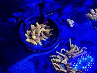 IMG_7691.jpeg