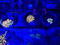 IMG_7692.jpeg