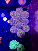 IMG_7696.jpeg