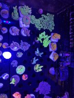 IMG_7697.jpeg