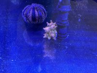 IMG_3924.JPG