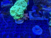 IMG_3928.JPG