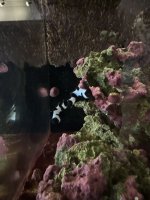 IMG_3703.jpeg