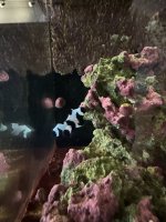 IMG_3702.jpeg