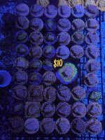 IMG_5876.jpeg