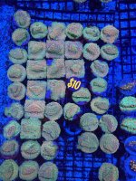 IMG_5875.jpeg