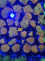 IMG_5872.jpeg
