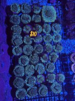 IMG_5877.jpeg