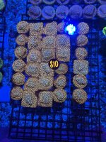 IMG_5880.jpeg