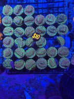 IMG_5881.jpeg
