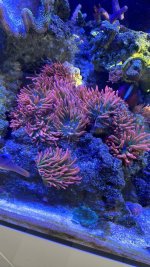 IMG_3743.jpeg