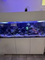 IMG_3820.jpeg