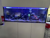 IMG_3819.jpeg
