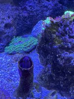 IMG_3818.jpeg