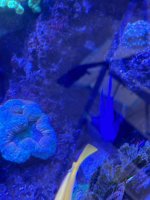 IMG_3817.jpeg
