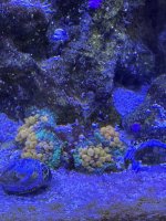 IMG_3815.jpeg