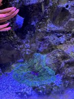 IMG_3814.jpeg