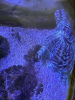 IMG_3813.jpeg