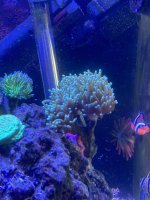 IMG_3812.jpeg