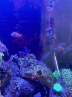 IMG_3811.jpeg