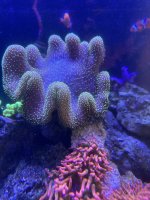 IMG_3809.jpeg