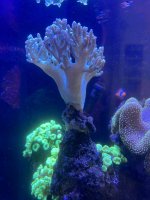 IMG_3808.jpeg