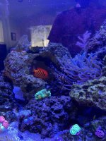 IMG_3798.jpeg