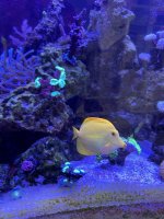 IMG_3796.jpeg