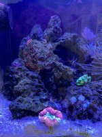 IMG_3793.jpeg