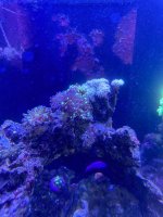 IMG_3806.jpeg