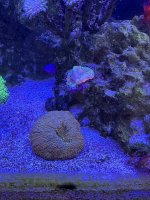 IMG_3801.jpeg