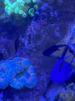 IMG_3816.jpeg