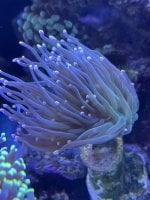 IMG_6951.jpeg