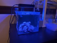 IMG_0503.jpeg
