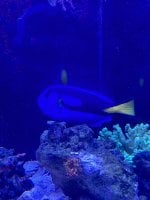IMG_3884.jpeg