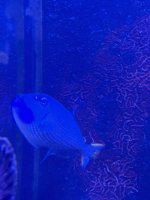 IMG_3879.jpeg