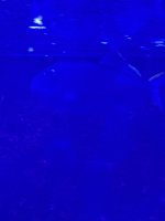 IMG_3878.jpeg