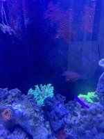 IMG_3880.jpeg