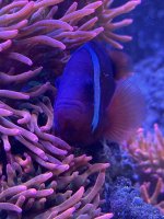 IMG_3875.jpeg