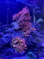 IMG_3874.jpeg
