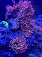 IMG_3873.jpeg