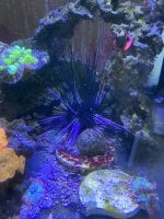 IMG_7606.jpeg