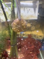IMG_4885.jpeg